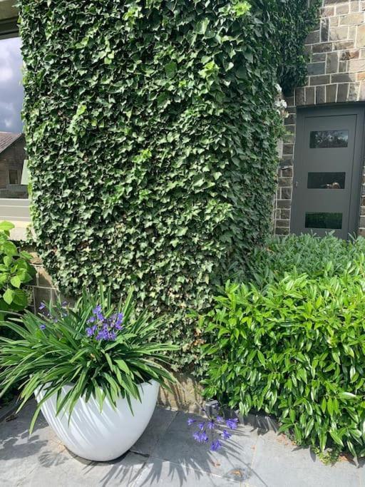 Les Rhododendrons Lägenhet Waimes Exteriör bild